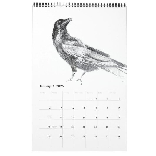 Oiseaux : Un calendrier (Jan 2026)