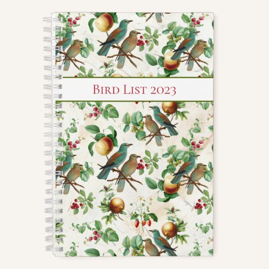 Oiseaux vibreux et Carnet de fruits (Recto)