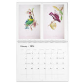 Oiseaux vintages de calendrier mural du Brésil (Feb 2026)