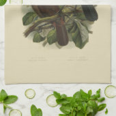 Oiseaux vintages de NZ de la Science - serviette (Plié)