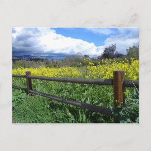 Ojai Meadows Briefkaart