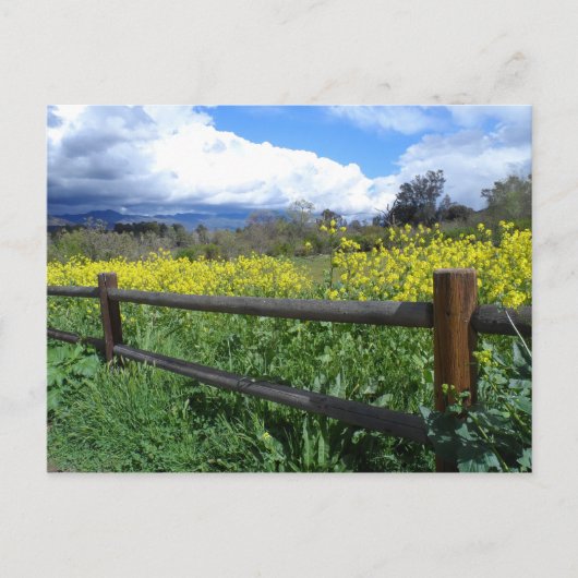 Ojai Meadows Briefkaart (Voorkant)