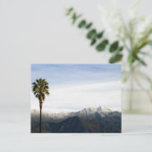 Ojai Palm Briefkaart (Staand voorkant)
