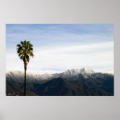 Ojai Palm Poster (Voorkant)