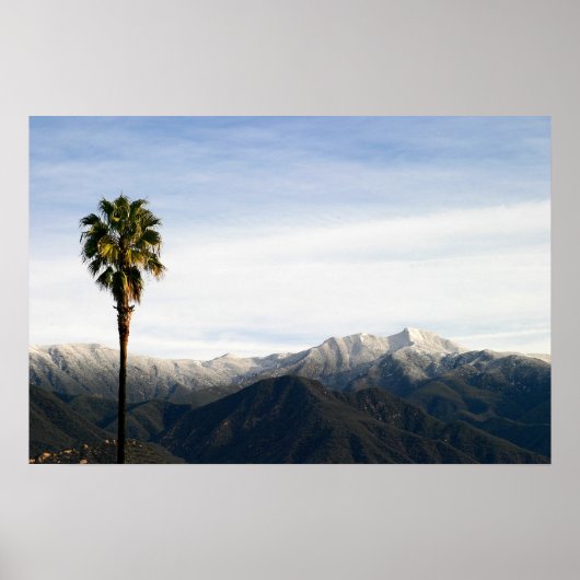 Ojai Palm Poster (Voorkant)