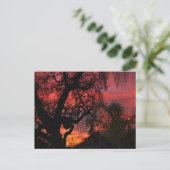 Ojai Sunset Briefkaart (Staand voorkant)