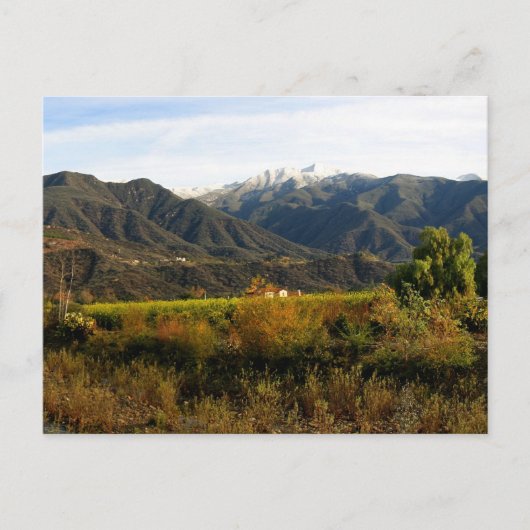 Ojai Valley met sneeuw Briefkaart (Voorkant)