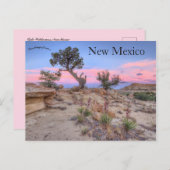 Ojito Wilderness New Mexico Briefkaart (Voorkant / Achterkant)
