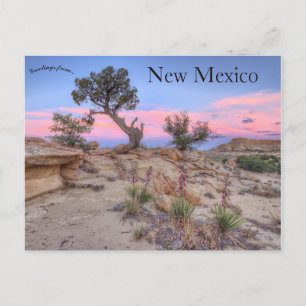 Ojito Wilderness New Mexico Briefkaart