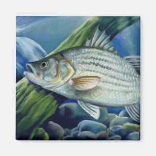 OK 2008 Bowles 1036 high Magneet