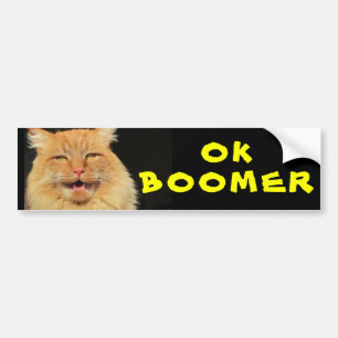 OK BOOMER Funny Cat Meme Bumpersticker