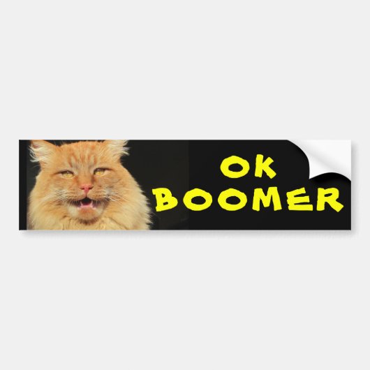 OK BOOMER Funny Cat Meme Bumpersticker (Voorkant)