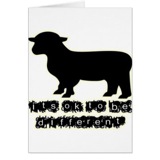 ok zwarte schapen boerderij