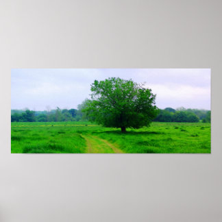 Oka’ Yanahli (Kleur verzadigd) Poster