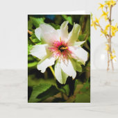 Okame Cherry Tree Blossom, carte (Fleur jaune)