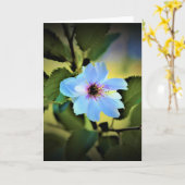 Okame Cherry Tree, carte (Fleur jaune)