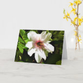 Okame Cherry Tree, carte (Fleur jaune)