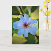 Okame Cherry Tree, carte (Fleur jaune)