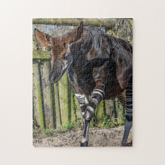Okapi bij de zoo-puzzel legpuzzel (Verticaal)