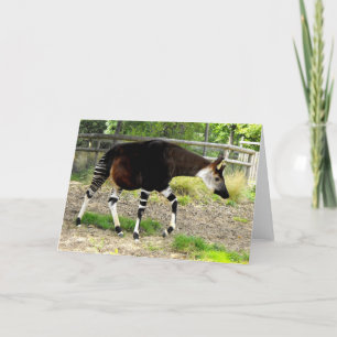 Okapi Feestdagen Kaart