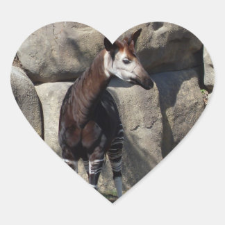 OKAPI HART STICKER