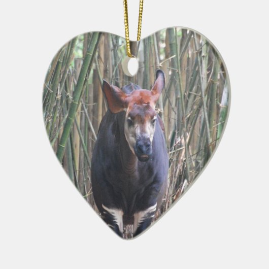 Okapi Ornament (Links)