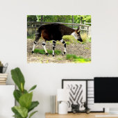 Okapi Poster (Thuiskantoor)