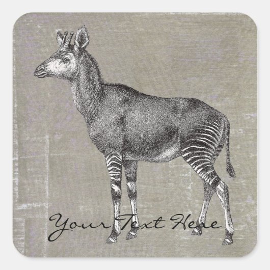 okapi vierkante sticker (Voorkant)