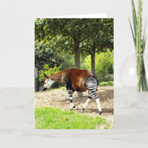 Okapi weglopend feestdagen kaart