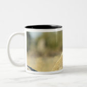 Okavango Delta, Botswana 2 Tweekleurige Koffiemok (Links)