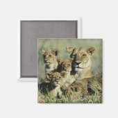 Okavango Delta, Botswana Magneet (Voorkant / Achterkant)