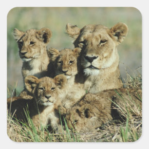 Okavango Delta, Botswana Vierkante Sticker