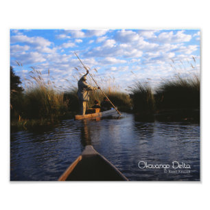 Okavango Delta Foto Afdruk