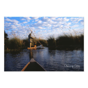 Okavango Delta Foto Afdruk