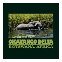 Okavango Delta