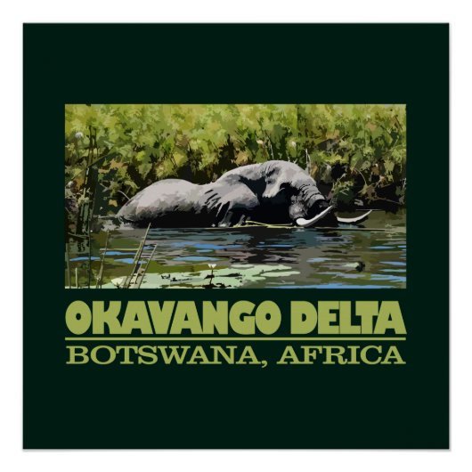 Okavango Delta Perfect Poster (Voorkant)