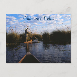 Okavango Delta Travel Briefkaart