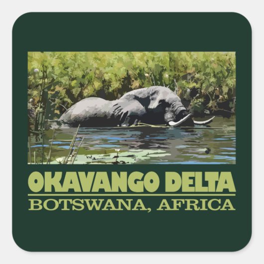 Okavango Delta Vierkante Sticker (Voorkant)