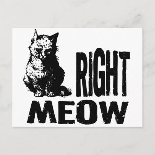 Oké, MEOW. Funny Evil Kat Briefkaart