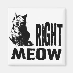 Oké, MEOW. Funny Evil Kat Magneet
