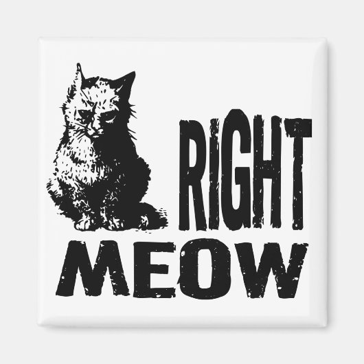 Oké, MEOW. Funny Evil Kat Magneet (Voorkant)