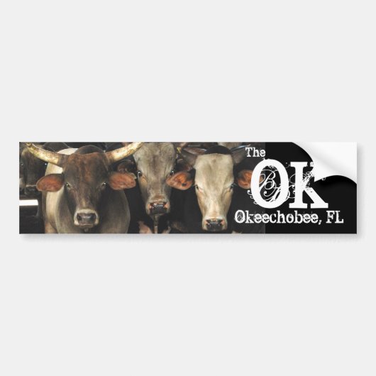 Okechobee Florida The OK Beef Cattle Cows Sticker (Voorkant)