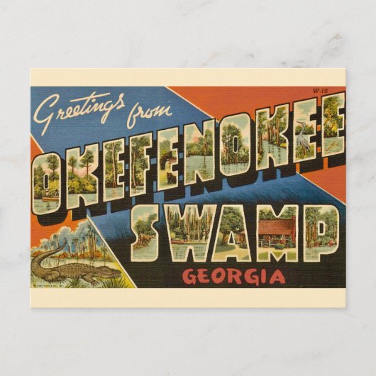 Okefenokee-moeras GA-ansichtkaart Briefkaart (Voorkant)