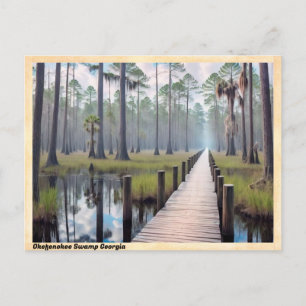 Okefenokee Moeras Georgia Vintage Reizen Briefkaart