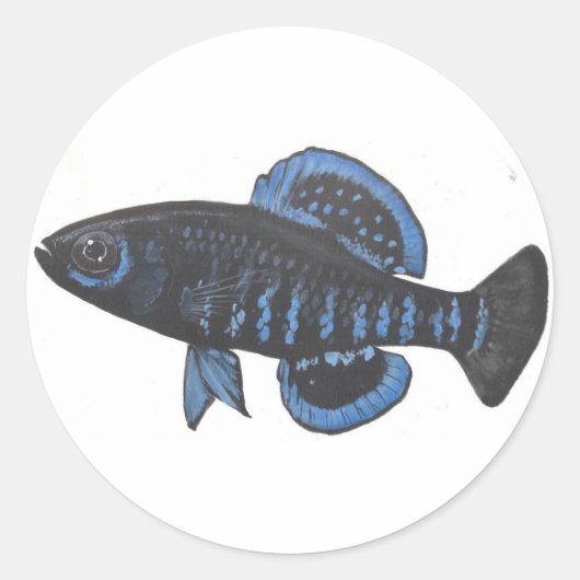Okefenokee pygmee zonnevis Sticker (Voorkant)