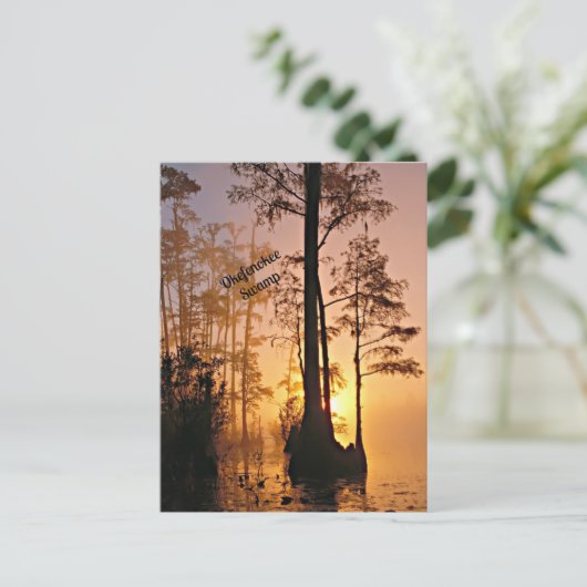 Okefenokee Swamp Briefkaart (Staand voorkant)