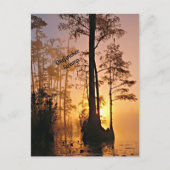 Okefenokee Swamp Briefkaart (Voorkant)