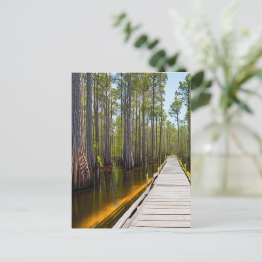 Okefenokee Swamp Briefkaart (Staand voorkant)