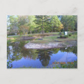 "OKEFENOKEE SWAMP PARK" BRIEFKAART (Voorkant)