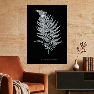 Okervarenblad, Gymnogramma Ochracea Poster